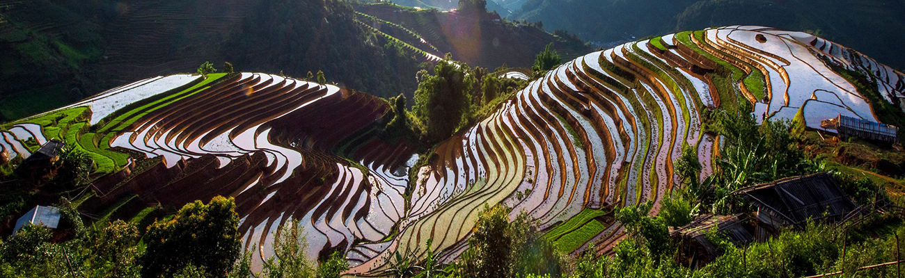HOANG SU PHI: A RICE-TERRACED DISTRICT
